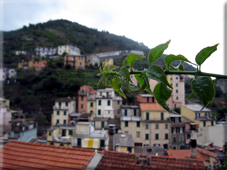 foto Riomaggiore